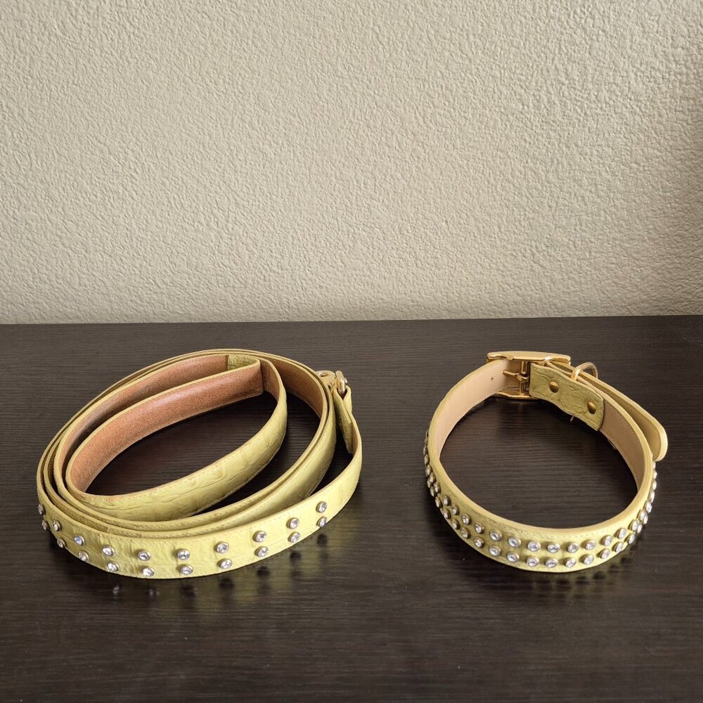 Lady Churchwell's Leather Dog Collar and Leash